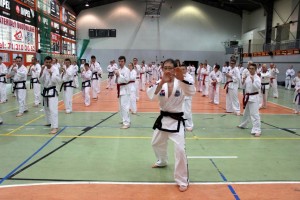 Taekwondo Toruń Działdowo Mława (3)